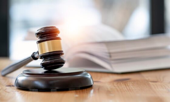 Legal Group Sets AI Guidelines